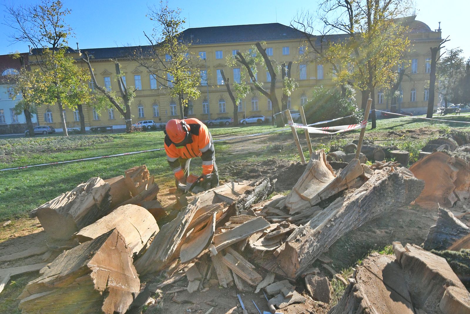 Munkálatok a Zichy ligetben 2024 október végén